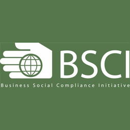 深圳九域企業管理 一站式EICC驗廠咨詢輔導，助力企業合規與卓越
